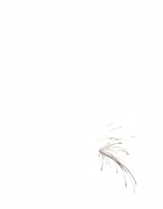 Page 1976 of - Templates - preview thumbnail
