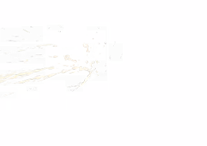 Page 206 of - Templates - preview thumbnail