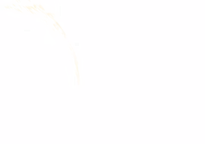 Page 229 of - Templates - preview thumbnail
