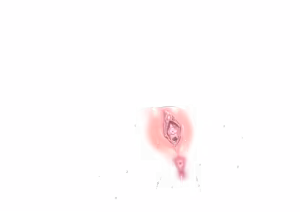 Page 241 of - Templates - preview thumbnail