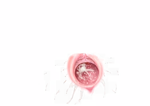 Page 247 of - Templates - preview thumbnail