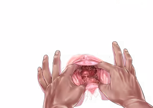 Page 252 of - Templates - preview thumbnail