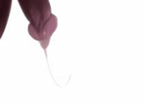 Page 264 of - Templates - preview thumbnail