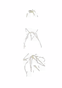 Page 315 of - Templates - preview thumbnail