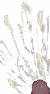 Page 317 of - Templates - preview thumbnail