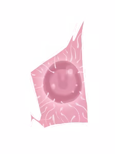 Page 320 of - Templates - preview thumbnail