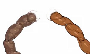 Page 396 of - Templates - preview thumbnail