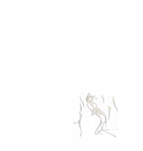 Page 505 of - Templates - preview thumbnail