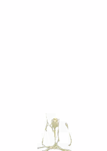 Page 583 of - Templates - preview thumbnail