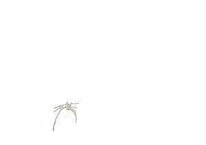 Page 636 of - Templates - preview thumbnail