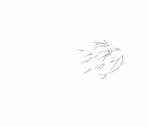 Page 666 of - Templates - preview thumbnail