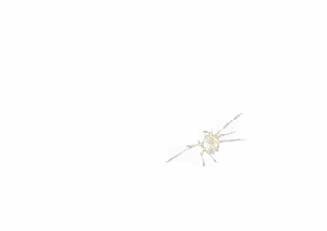 Page 695 of - Templates - preview thumbnail
