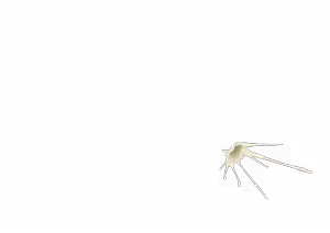 Page 737 of - Templates - preview thumbnail