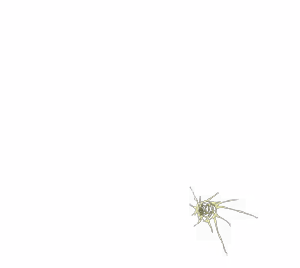 Page 744 of - Templates - preview thumbnail