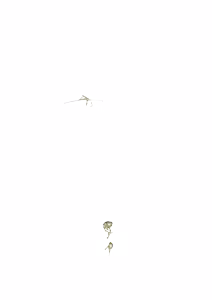 Page 763 of - Templates - preview thumbnail