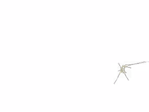 Page 778 of - Templates - preview thumbnail