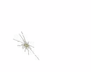 Page 812 of - Templates - preview thumbnail