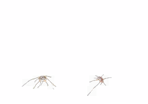 Page 852 of - Templates - preview thumbnail