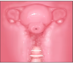 Page 6 of Futanari CG Collection Progress: Missionary Sex (Primera Subjective) + Cross-Section + Massive Ejaculation Summary - preview thumbnail