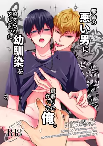 都会の悪い男に染められてしまった幼馴染を寝取りたかった俺。 — hentai manga cover on Fhentai