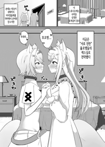 Page 4 of FUTABAUBAU - preview thumbnail
