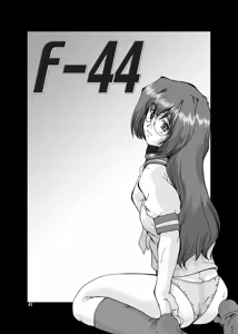 Page 43 of F-44 - preview thumbnail
