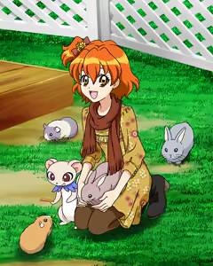 Page 551 of Precure Tsunagaru Puzzle Card List | Pretty Cure Connection Puzzle Card List - preview thumbnail