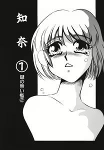 Page 23 of Kagi no Nai Ori - preview thumbnail