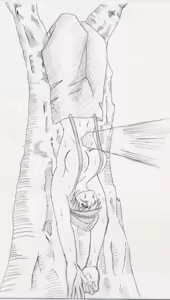 Page 463 of Sukaruda Complete Gallery - preview thumbnail