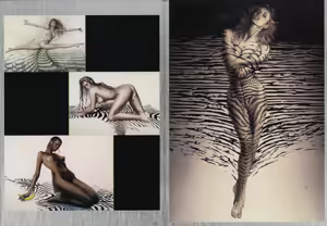 Page 127 of Sorayama - Complete Masterworks - preview thumbnail