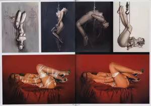 Page 170 of Sorayama - Complete Masterworks - preview thumbnail