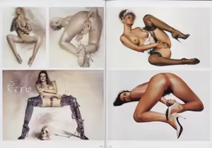 Page 227 of Sorayama - Complete Masterworks - preview thumbnail