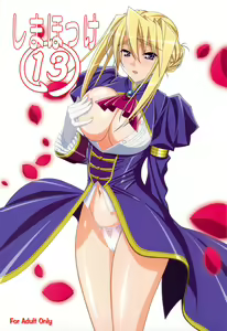 Shimahokke 13 - hentai manga cover image