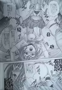 Page 17 of SUNNY CAMPAIGN - preview thumbnail