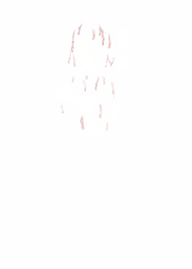 Page 679 of Newona, Ritual Offering to The Depraved God ~ The Surrender of the Transforming Gender-bent TS Exorcist Girl - preview thumbnail