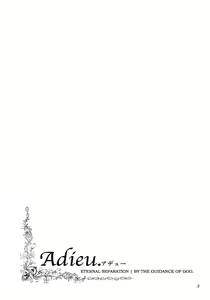 Page 4 of Adieu ENG - preview thumbnail