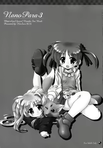 Page 3 of Nano Para 3 - preview thumbnail