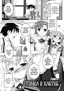 Page 108 of Kago no Tori - preview thumbnail
