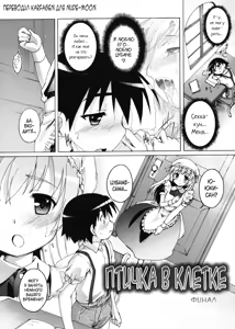 Page 164 of Kago no Tori - preview thumbnail