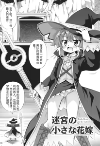 Page 164 of Mesuochi Little Hole + Illust Card - preview thumbnail