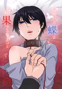 Toraware no Chou wa Inochi Hateru Made — hentai manga cover on Fhentai
