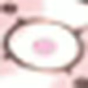 Page 1519 of Kirari Nangoku Komugiiro ～ Shiofuki Paradise e Youkoso! ～ Part 2 - preview thumbnail