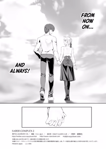 Page 41 of SABER COMPLEX 2 - preview thumbnail