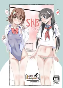 SKB vol. 2 — hentai manga cover on Fhentai