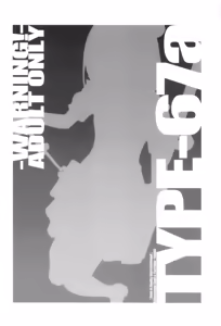 Page 19 of TYPE-67a - preview thumbnail