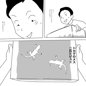 Page 1614 of Ampullaria (245607) part 1 - preview thumbnail