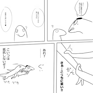 Page 1620 of Ampullaria (245607) part 1 - preview thumbnail