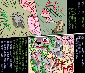 Page 44 of Ampullaria (245607) part 1 - preview thumbnail