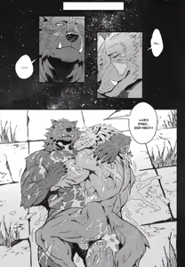 Page 18 of Nocturne of the half-wolf - preview thumbnail