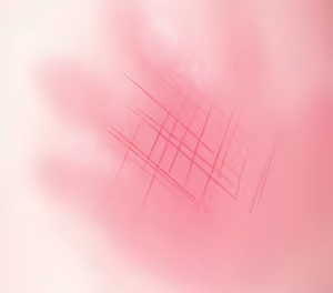 Page 520 of kishi part 2 - preview thumbnail